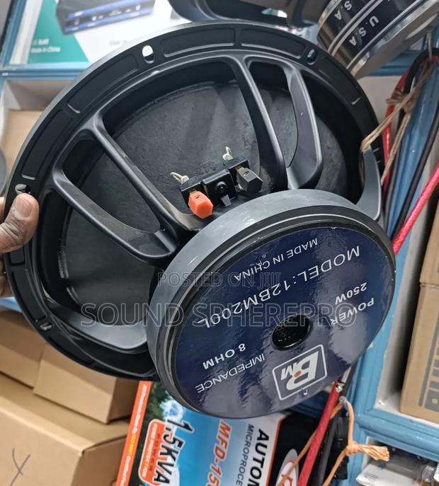 Bm 12BM200L 12 Inch Mid Range Speaker - thumbnail 2