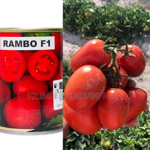 Rambo F1 Tomato Seeds 25g - main view