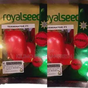 Terminator F1 Tomato Seeds 10g - main view