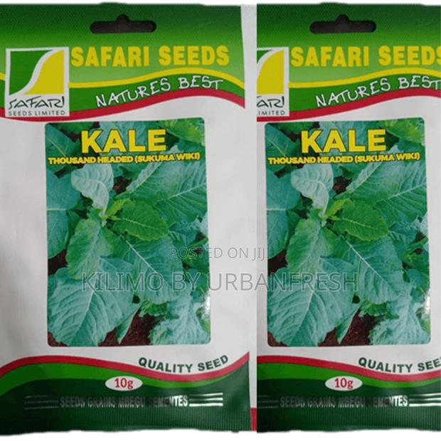 Thousand Headed Seeds 25g