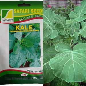 Thousand Headed Seeds (50g) - main view