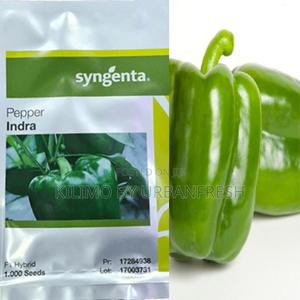 Indra F1 (Capsicum) 1000 Seeds - main view