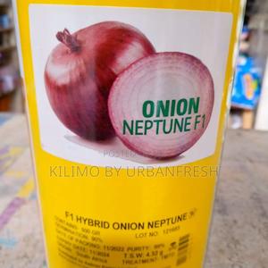 NEPTUNE F1 Onion Seeds 1 Kg