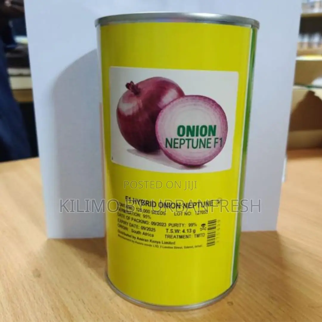 NEPTUNE F1 Onion Seeds 500g
