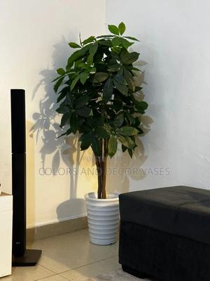 Happy Client Avacado Plant With Vase - thumbnail 2