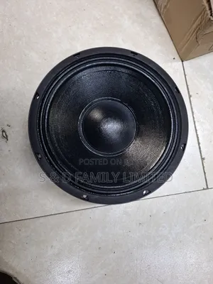 Bm 10BM300H 10 Inch Naked Speaker