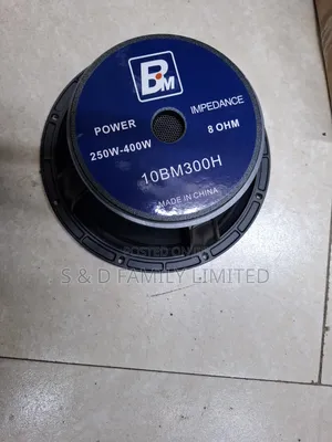 Bm 10BM300H 10 Inch Naked Speaker