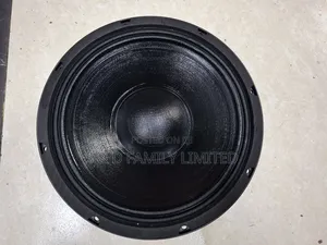 Bm 10BM300H 10 Inch Naked Speaker