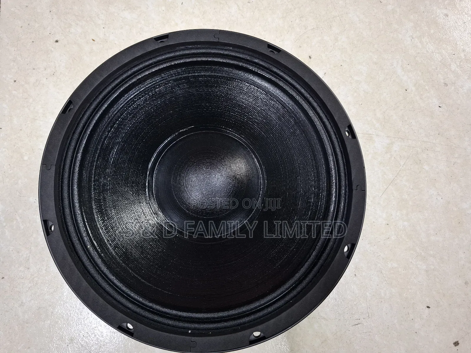 Bm 10BM300H 10 Inch Naked Speaker