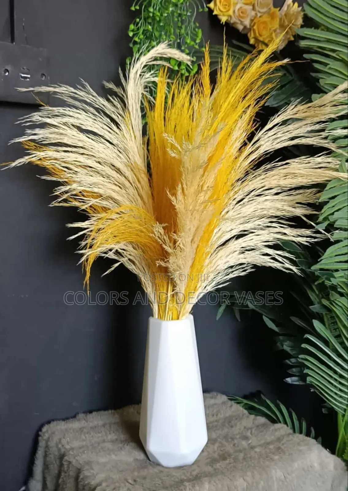 Pampas Grass Yellow and Off White