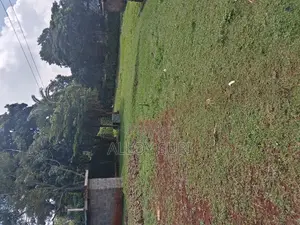Tigoni Redhill 5 Acres Available for Sale