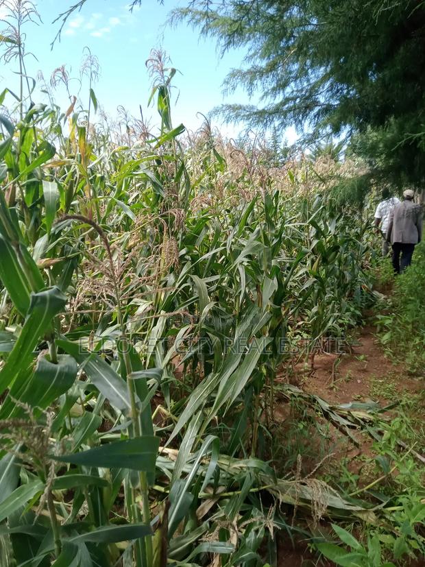 5 Acres Moiben After Tugen Estate