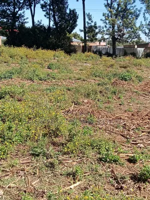 1/4 Plot Kimumu Betterfarm Ideal for Rental
