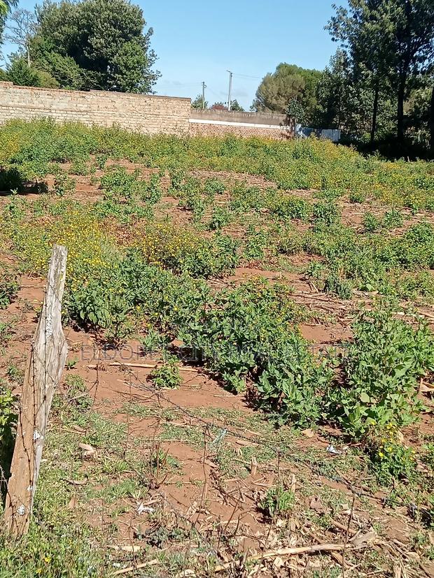 1/4 Plot Kimumu Betterfarm Ideal for Rental - thumbnail 2
