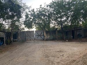 1/4 of an Acre for Sale 49M Along Links Road - thumbnail 2