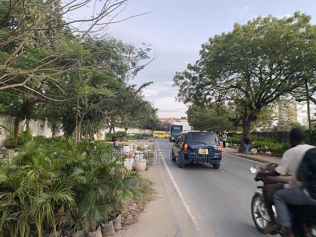 1/4 of an Acre for Sale 49M Along Links Road - thumbnail 6