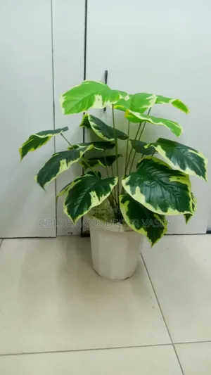 Yellow Green Plant and Vase KSH 1500