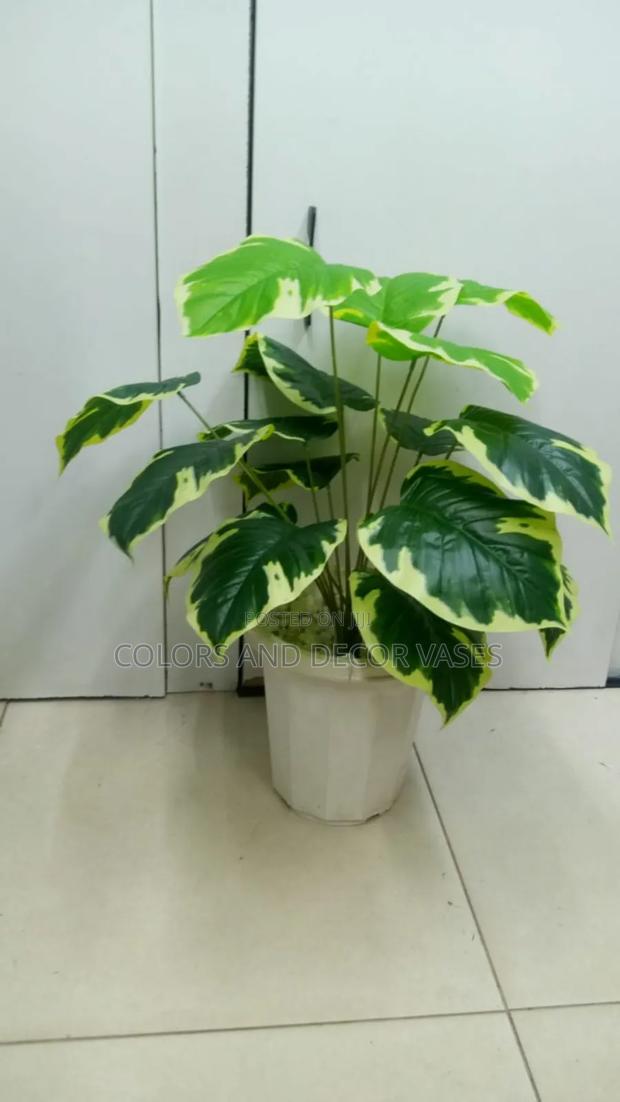 Yellow Green Plant and Vase KSH 1500