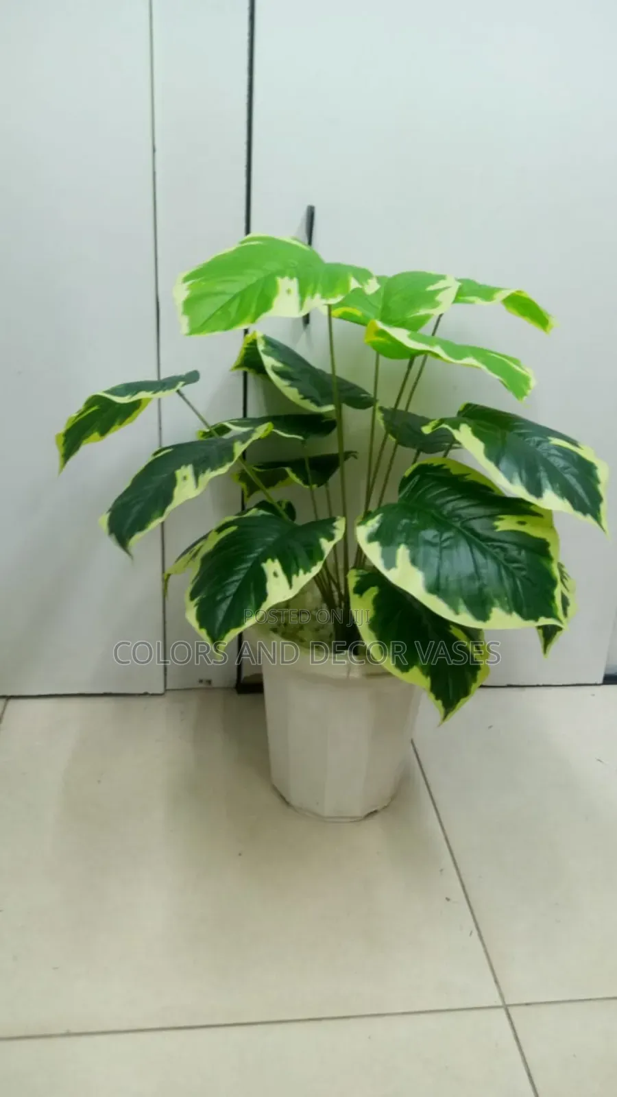 Yellow Green Plant and Vase KSH 1500