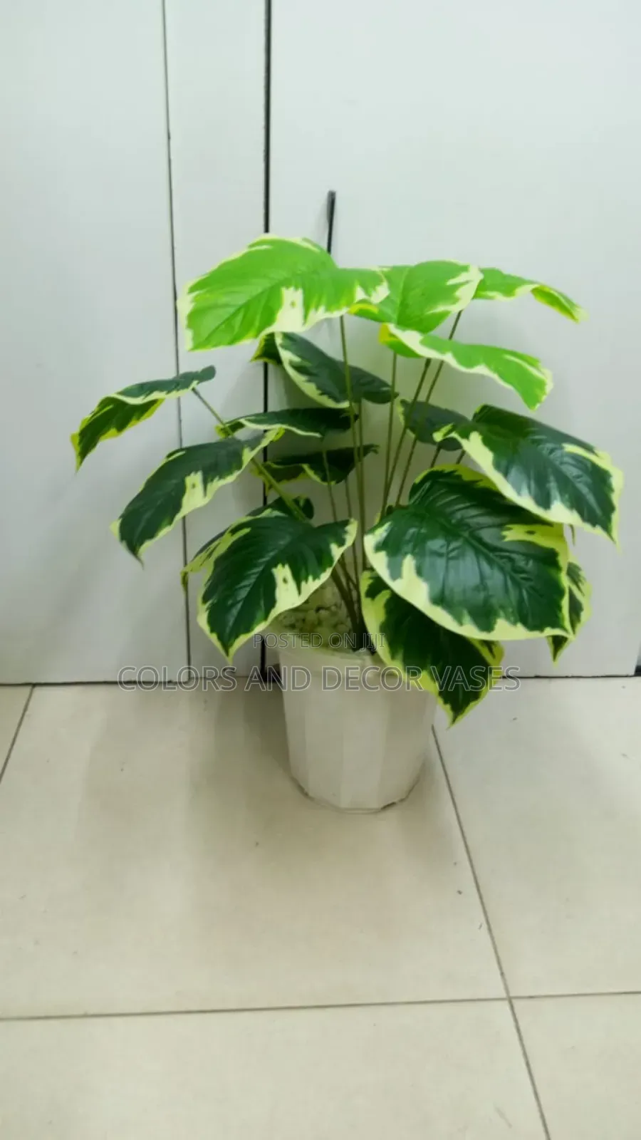 Yellow Green Plant and Vase KSH 1500