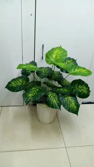Smart Plant and Vase in Stock