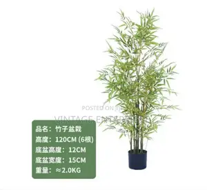 High Quality Potted Artificial House Tree