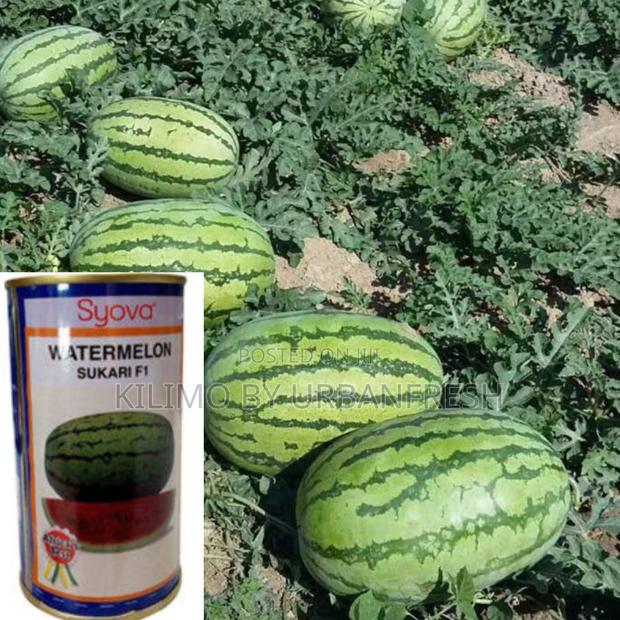 Watermelon Sukari F1 Seeds 10g - main view