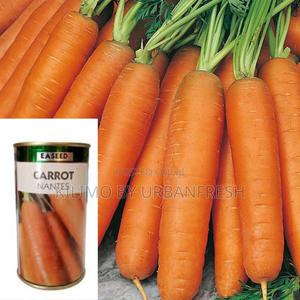 Carrot Nantes Seeds 10g - main view