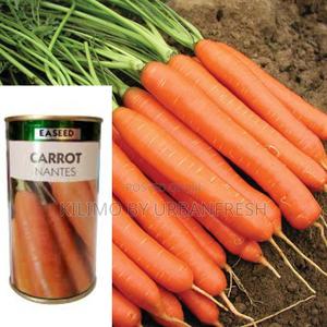 Carrot Nantes Seeds 50g - main view
