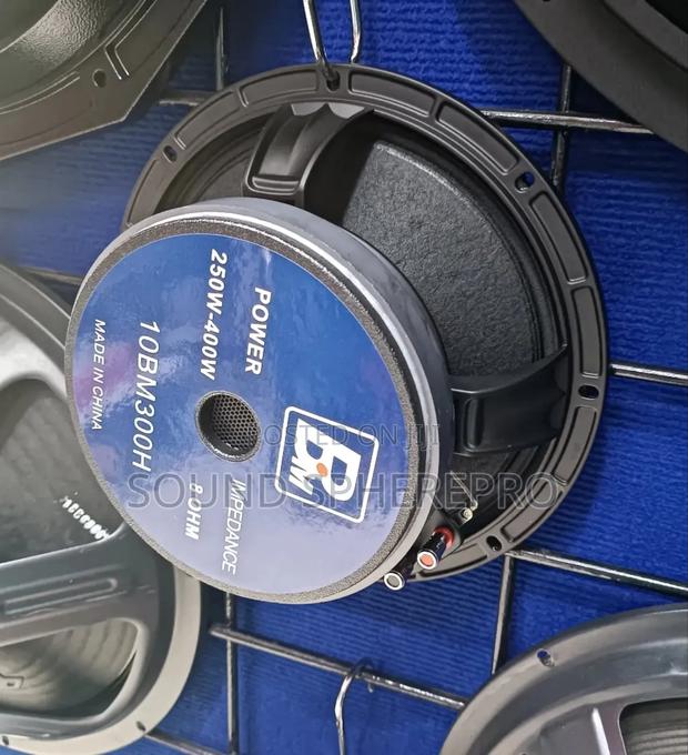 BM 10BM300H 10inch Mid Range Speaker - thumbnail 3