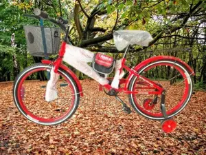 Bicycle 20” Tanda