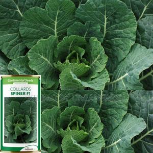 Spiner F1 Collards Seeds 50g - main view
