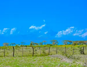 Residential Plot For Sale In Nanyuki, Naromoru