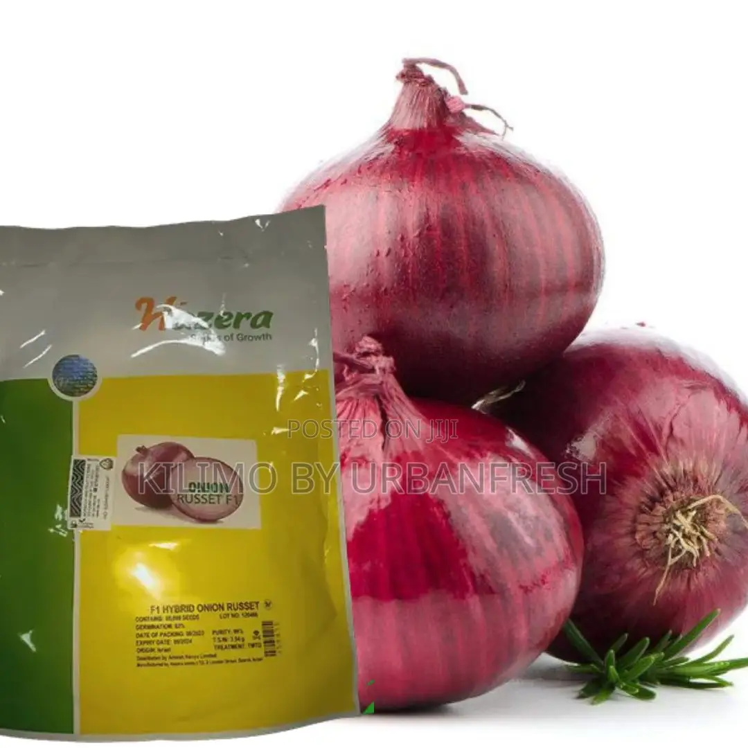 Russet F1 Onion Seeds (125000 Seeds )