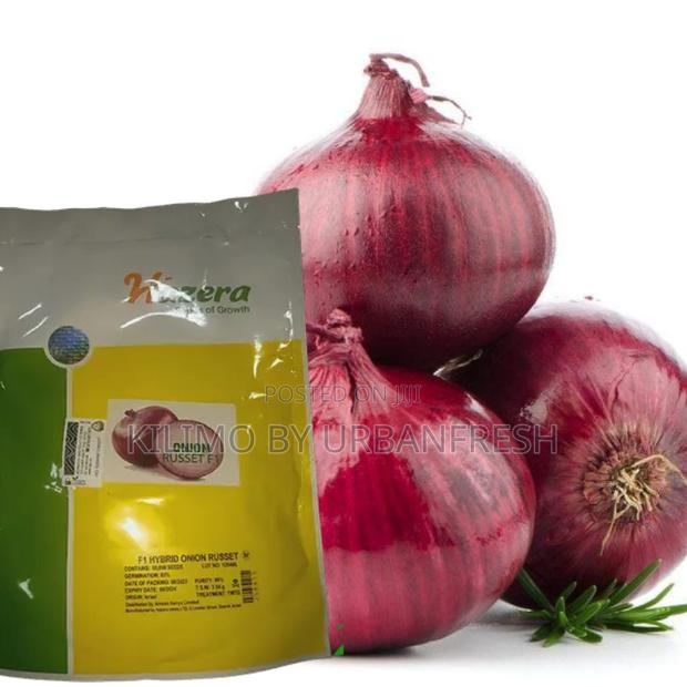 Russet F1 Onion Seeds (125000 Seeds )