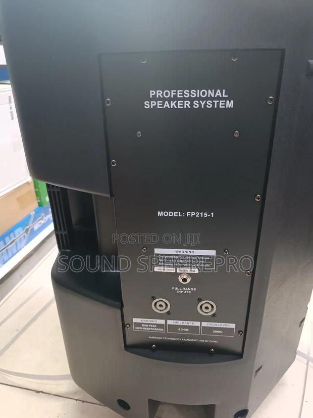 Soundking FP215-1 15 Inch Mid-Range Speaker - thumbnail 2