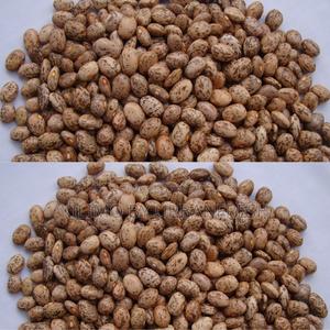 Mwitemania Beans Seeds 2kgs - main view