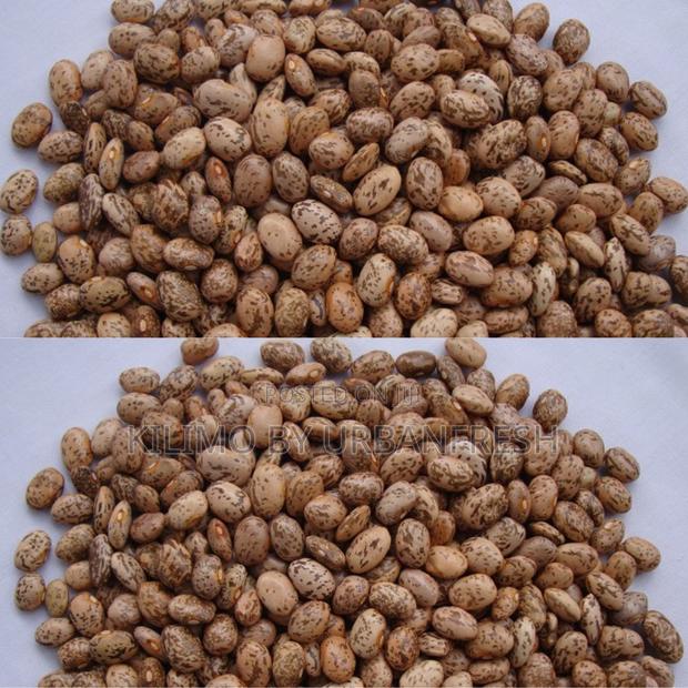 Mwitemania Beans Seeds 2kgs