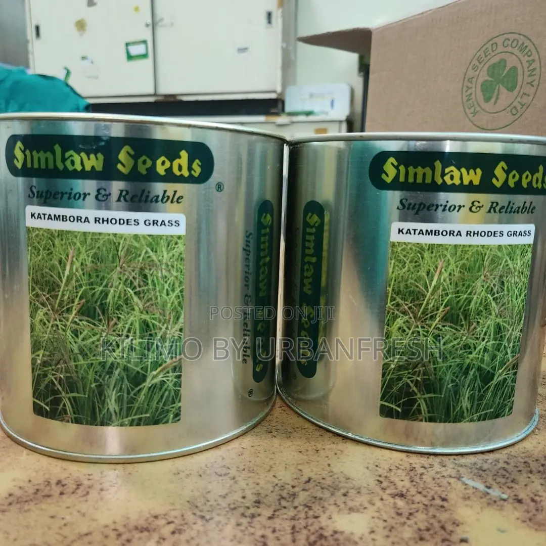 Katambora Rhodes Grass Seeds 1 Kg