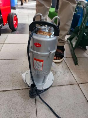 Maxpolar 1hp Submersible Pump - thumbnail 2