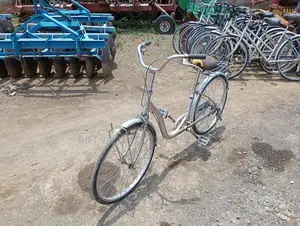 Size 24 Diora Ex Japan Bicycle