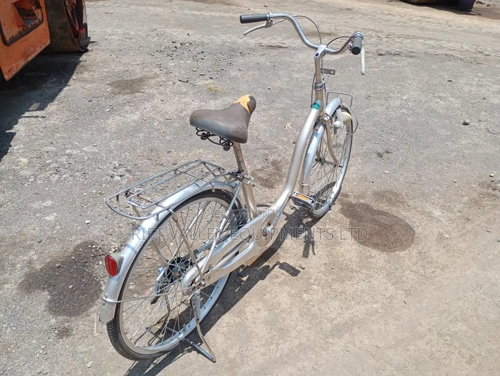 Size 24 Diora Ex Japan Bicycle