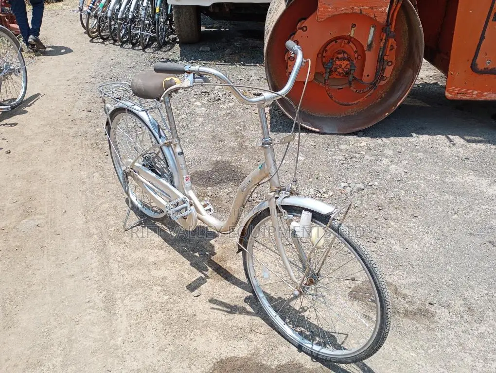 Size 24 Diora Ex Japan Bicycle