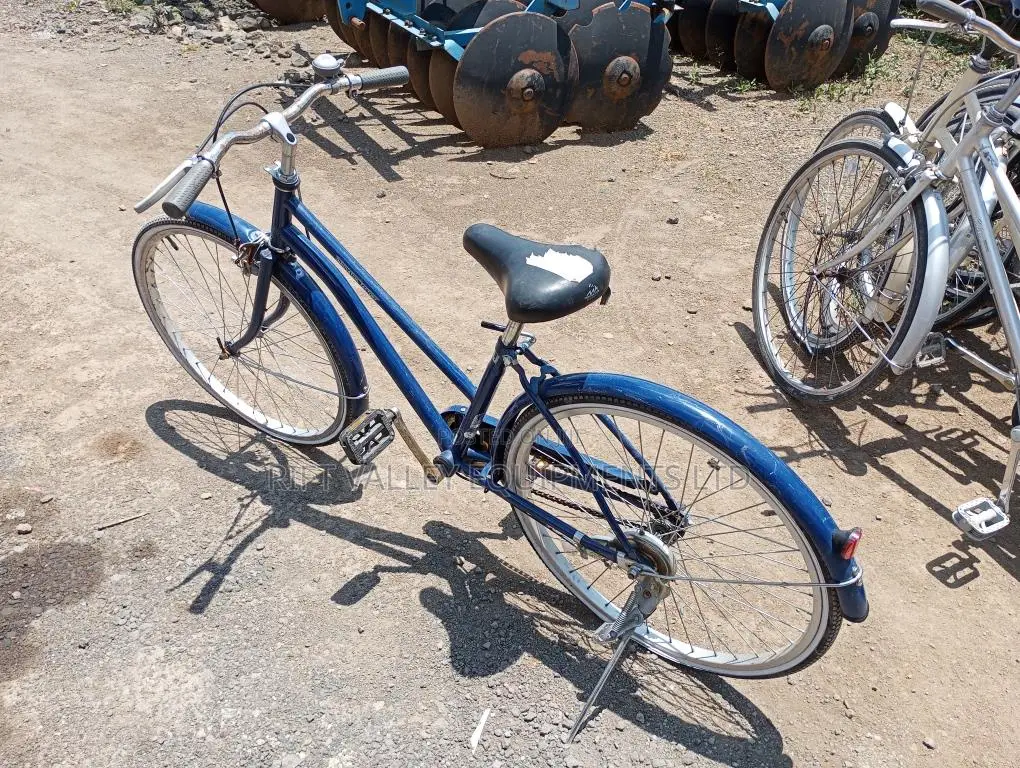 Size 24 Innovation Ex Japan Bike