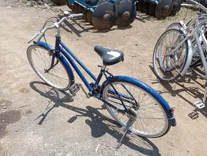Size 24 Innovation Ex Japan Bike