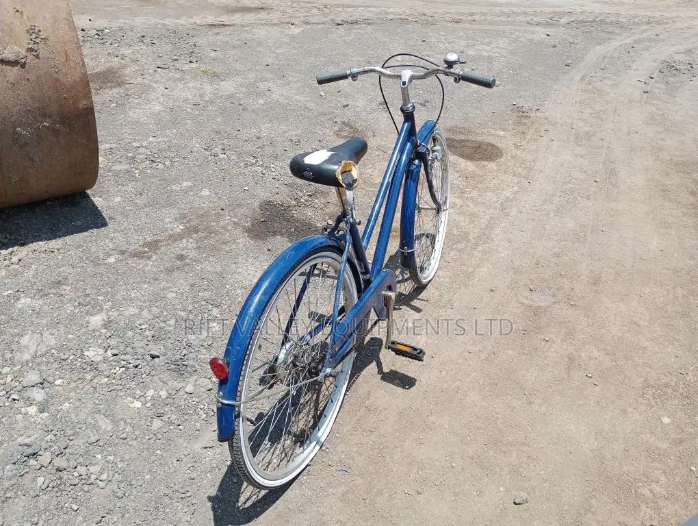 Size 24 Innovation Ex Japan Bike