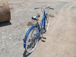 Size 24 Innovation Ex Japan Bike