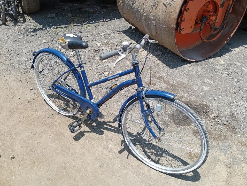 Size 24 Innovation Ex Japan Bike
