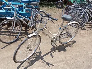 Lucious Mode Size 26 Ex Japan Bike