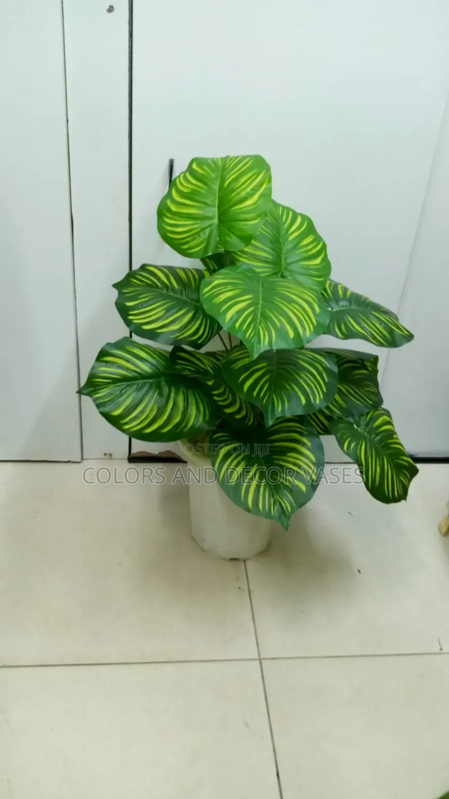 Stripped Plant With Decorative Stones in Plastic Vase